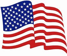 Image result for American Flag Poster Art