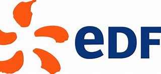 Image result for EDF India Logo