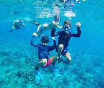 Image result for Snorkeling Pool