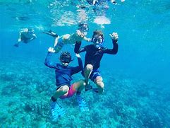 Image result for Snorkel in the Sea