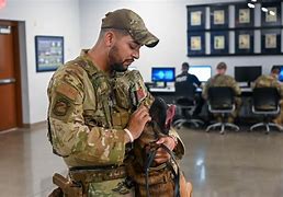 Image result for Air Force K-9 Units