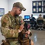 Image result for United States Air Force K9