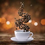 Image result for Forest Three Coffe