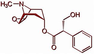 Image result for Scopolamine