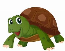 Image result for Turtle Graphic Design