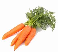 Image result for Carrot