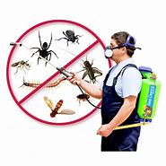 Image result for Pest Control Services Images