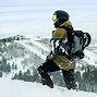 Image result for Hard Shell Backpack Boblbee