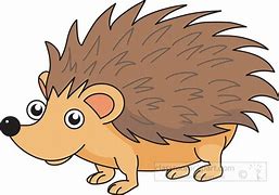 Image result for Hedgehog ClipArt