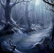 Image result for Scary Forest at Night