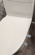 Image result for Toilet Seat Tabs