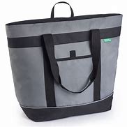 Image result for Insulated Cooler Beach Bag