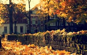 Image result for Cozy Fall Laptop Backgrounds