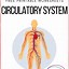 Image result for Human Circulatory System Worksheet