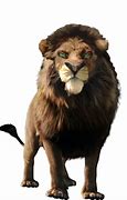 Image result for Scar Lion King PNG