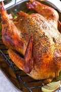 Image result for Turkey Briner