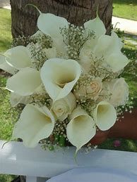 Image result for Calla Lily Bridal Bouquet Images