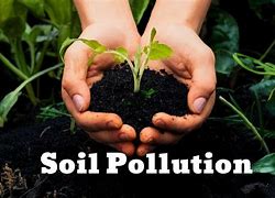 Image result for Soil Pollution