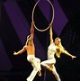 Image result for Modern Circus