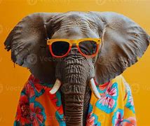 Image result for Cute Funny Baby Elephant