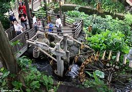 Image result for Swiss Family Robinson Treehouse Disney