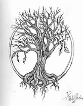 Image result for Willow Tree Drawing