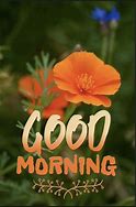 Image result for Good Morning Orange Flowers