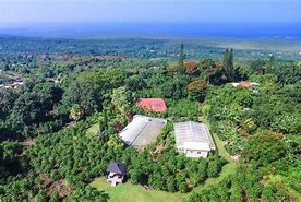 Image result for Tim Valentine Coffee Farm Hawaii