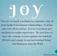 Image result for Find Joy in What You Do Quote