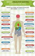 Image result for Mineral Supplements for Humans