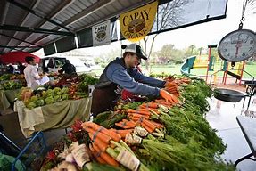 Image result for Farmers Market Davis CA