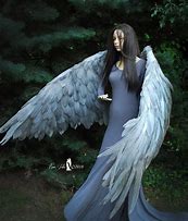 Image result for Angel Wings Shadow