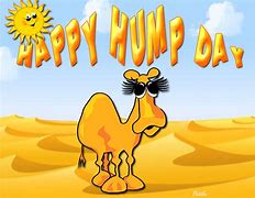 Image result for Hump Day Camel Cartoon Clip Art