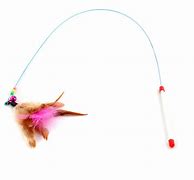 Image result for Feather Wand Toy