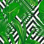 Image result for Black Green White Wallpaper HD Vector