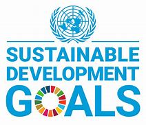 Image result for SDG Cubes