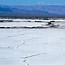 Image result for Mojave Desert Dry Farming