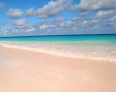 Image result for Pink Sand Beaches in Bahamas