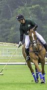 Image result for Ror Horses