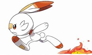 Image result for Pokemon Shield Scorbunny