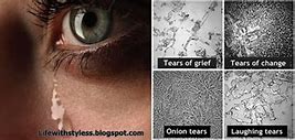 Image result for Happy vs Sad Tears Under a Microscope