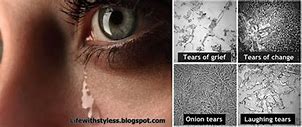 Image result for Grief Tears Under Microscope