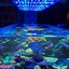 Image result for LED Aquarium Lighting