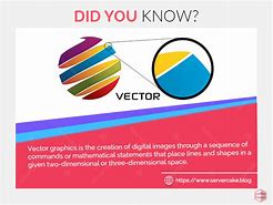 Image result for Vector Graphics Examples