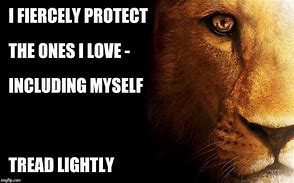 Image result for Lion Lioness Meme