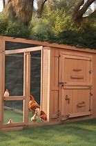 Image result for Chicken Pen Ideas