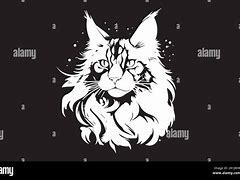 Image result for White Cat Head