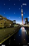 Image result for Busy Tokyo City at Night