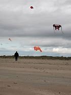 Image result for Flying Beach Kite for Peopel