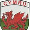 Image result for Welsh Dragon Sticker